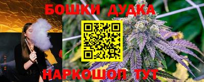 прущие крисы Северобайкальск