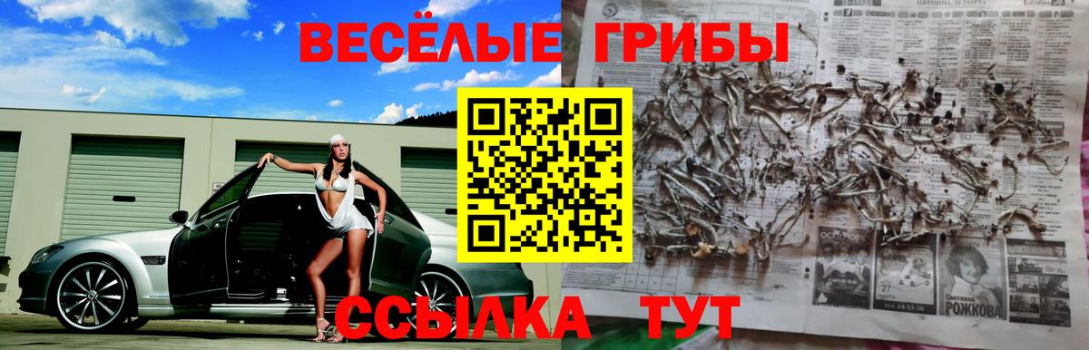 купить   Вход с VPN  Омск  Псилоцибиновые грибы Cubensis 